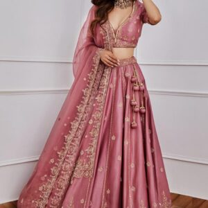 Woman's Lehenga Choli Set