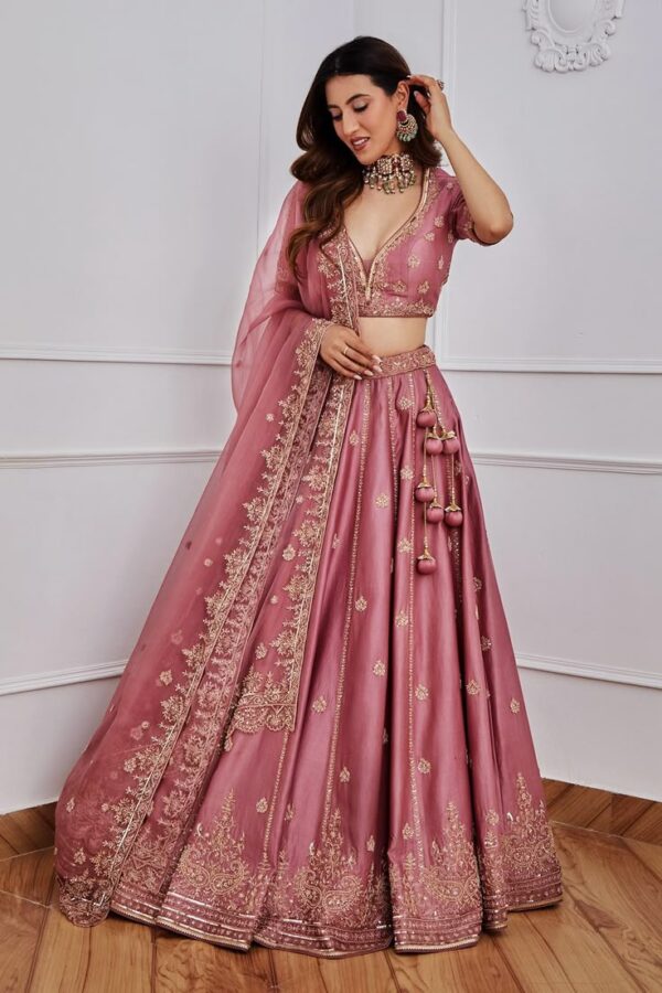Woman's Lehenga Choli Set